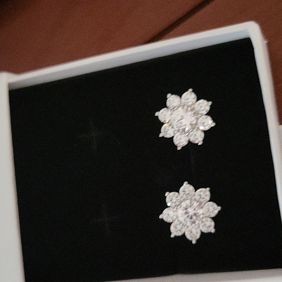 Huge 10ct authentic moissanite earing positive grantees on diamond tester - Picture 9 of 11